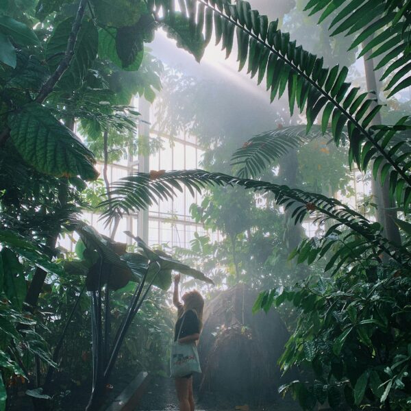 Where Regeneration Becomes the New Luxury Lifestyle