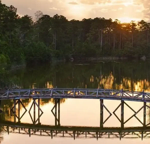 Location & Surroundings