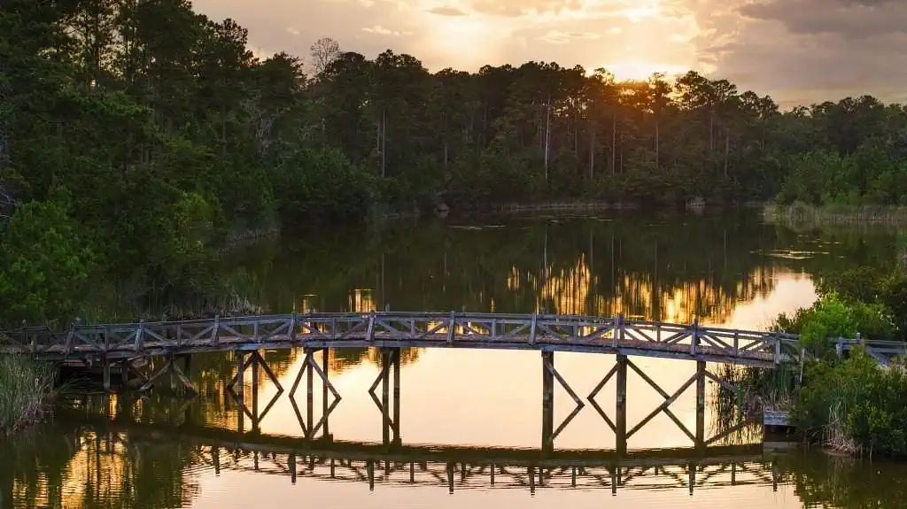 Location & Surroundings