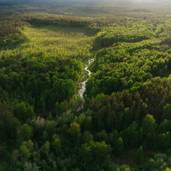 Worlds Worth Protecting